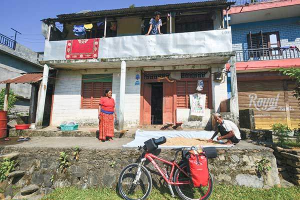 수확한 벼를 말리는 시골 노인.