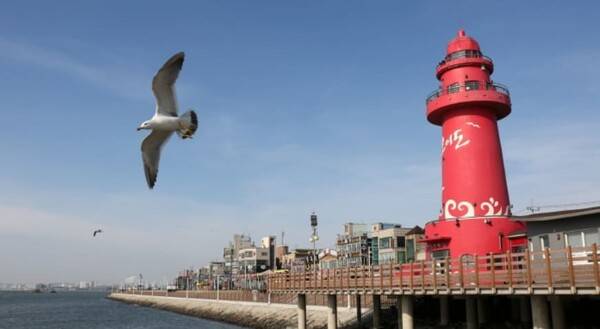 시흥 가볼만한곳 BEST 7 / 온라인 커뮤니티