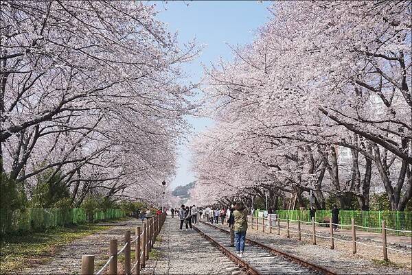 창원 가볼만한 곳 BEST 5 / 온라인 커뮤니티