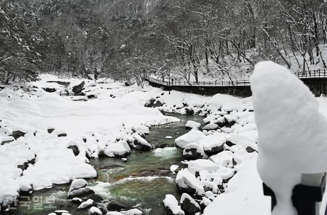 백담사 탐방로와 계곡이 하얀 눈에 덮여 있다.