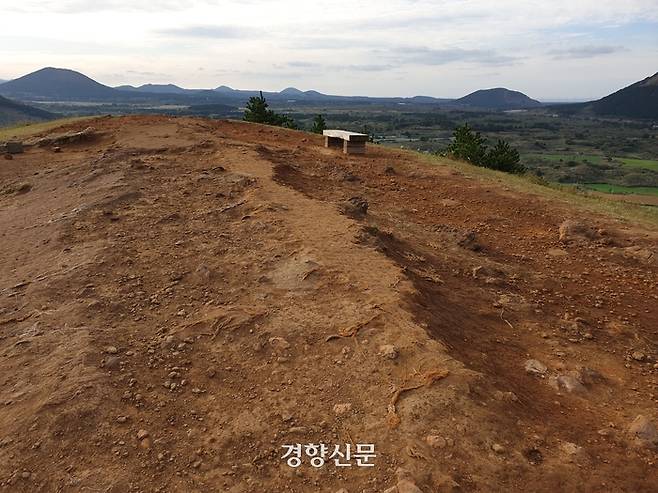 자연휴식년제를 실시하기 이전인 2019년 훼손된 제주 용눈이오름 정상부. 박미라 기자