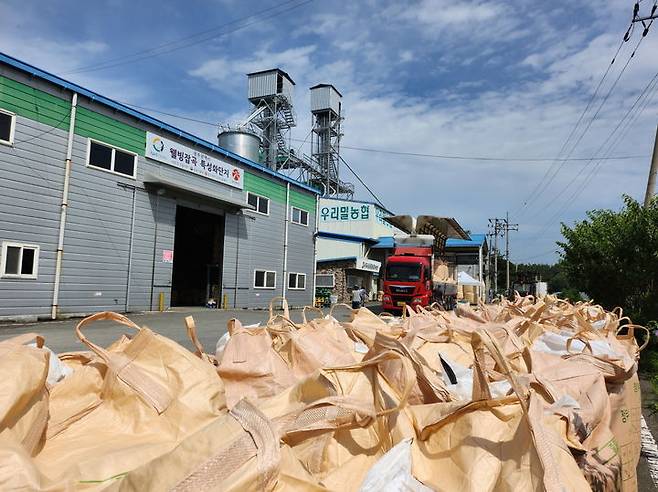 [광주=뉴시스] 국산 밀 수매 현장. (사진=광주시 제공) *재판매 및 DB 금지