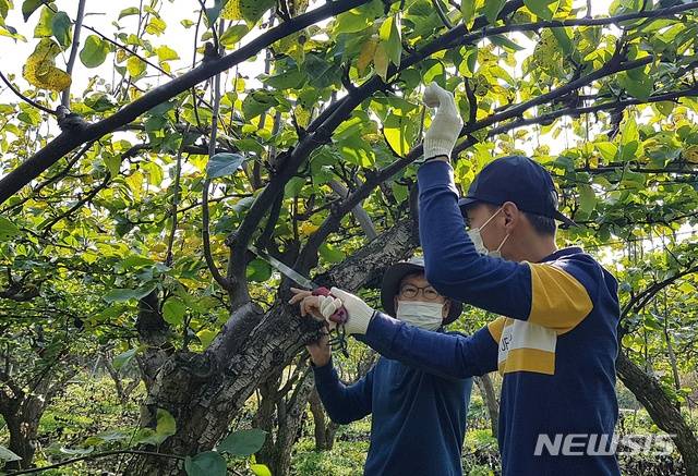 [수원=뉴시스] '2021년 귀농창업 현장컨설팅' (사진=경기도 제공)