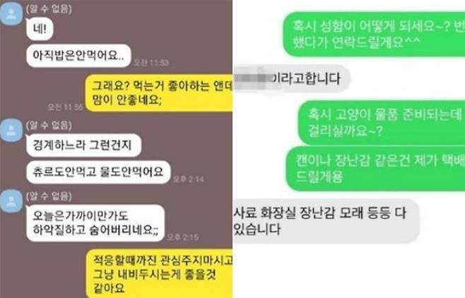 유기 동물을 입양한 B씨와 나눈 카톡 내용 캡처. A씨 제공