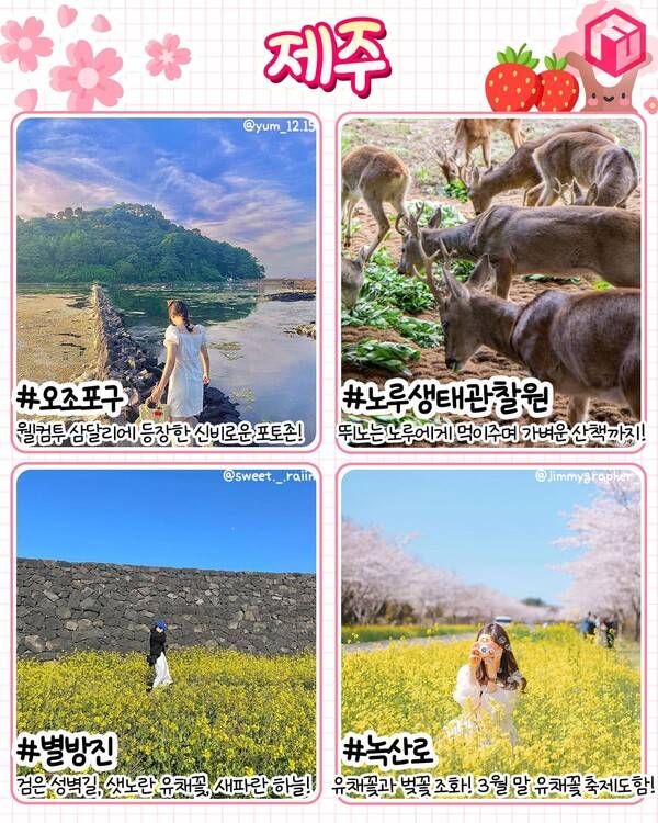 3월 국내 여행지 추천 / ⓒ여행톡톡