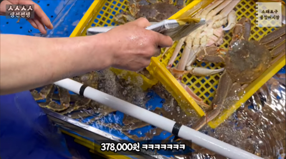 인천 소래포구 종합어시장에서 상인이 대게 2마리를 37만 8000원에 판매하고 있다. 〈사진=유튜브 '생선선생 미스터S' 캡처〉