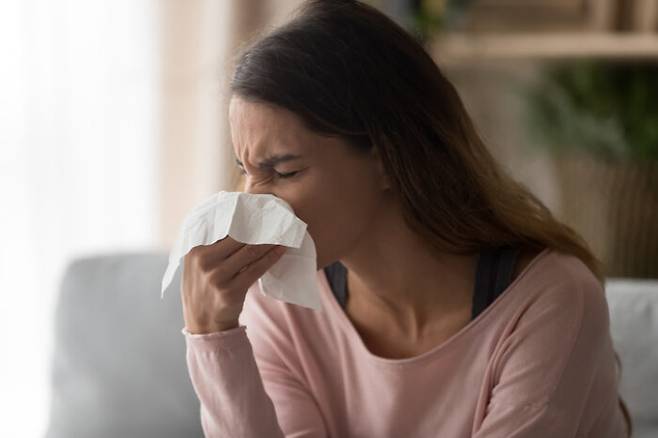 환절기에도 알레르기 비염이나 부비동염 증상이 심해질 수 있다. 알레르기 비염이 있으면 맑은 콧물이 나오고 코가 간지럽고 재채기가 난다. 코 막힘이 심하고 코를 풀면 누런 액체가 나온다면 부비동염으로 봐야 한다. [사진= 게티이미지뱅크]
