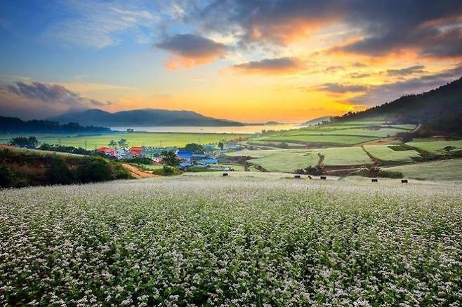 장흥 선학동 마을 전경 [사진제공=장흥군]