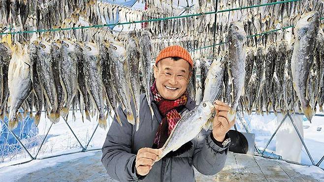 정용권씨가 평창 덕장에서 굴비를 보여주고 있다. /평창=정병선 기자