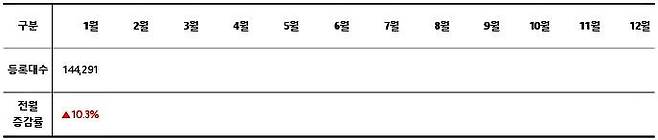 2024 월별 신차 등록 대수 / 출처=카이즈유데이터연구소