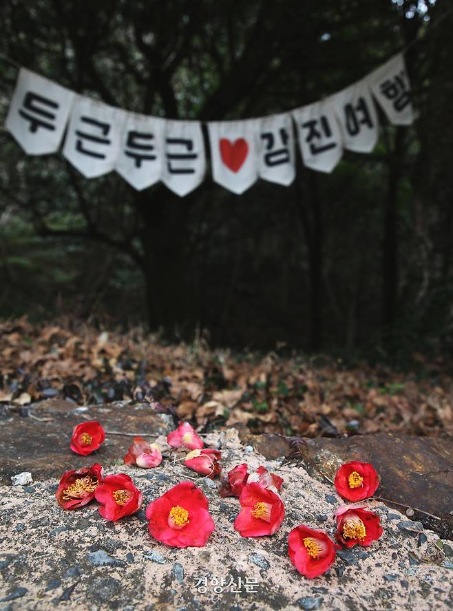 28일 전남 강진 백련사에 동백꽃이 산책로에 떨어져 있다. 이윤정 기자