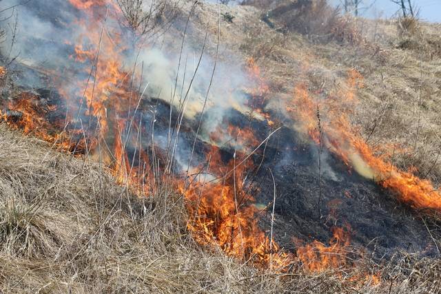 영농부산물 소각은 이산화탄소·메탄·아산화질소와 같은 대기 오염물질 배출과 산불 발생 위험을 높인다. 논두렁에서 영농부산물을 소각하는 모습. 농촌진흥청