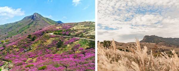 합천 가볼만한 곳 BEST 5 /&nbsp;b 진해촌뜨기