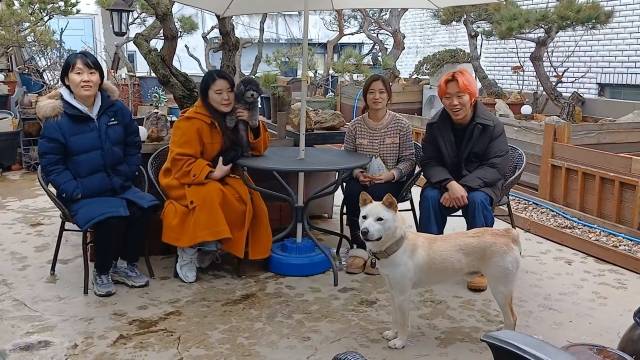 지난 25일, 유기견 백구 동경이의 구조자 및 입양자들이 한 자리에 모였다. 입양자 이수련(오른쪽 2번째)씨는 "동경이의 떠돌이 시절을 보듬어준 구조자들에게 감사한다"고 말했다. 제보자 제공
