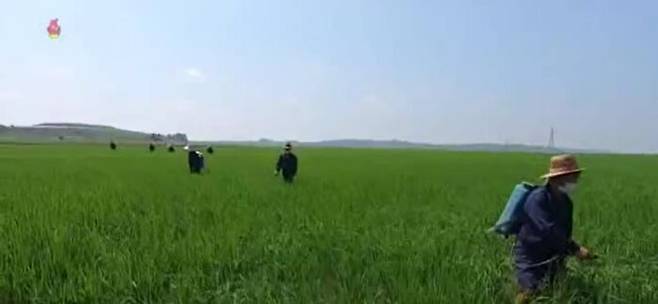 북한의 협동농장