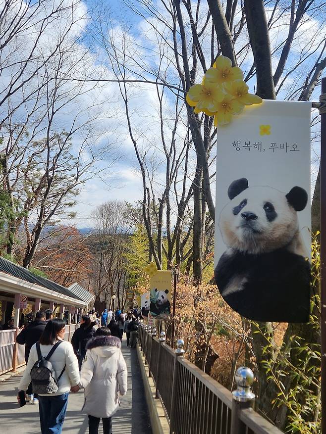 지난달 26일 경기 용인시 에버랜드에 들어가 판다월드로 가는 길에 푸바오 사진이 길가에 걸려 있다.