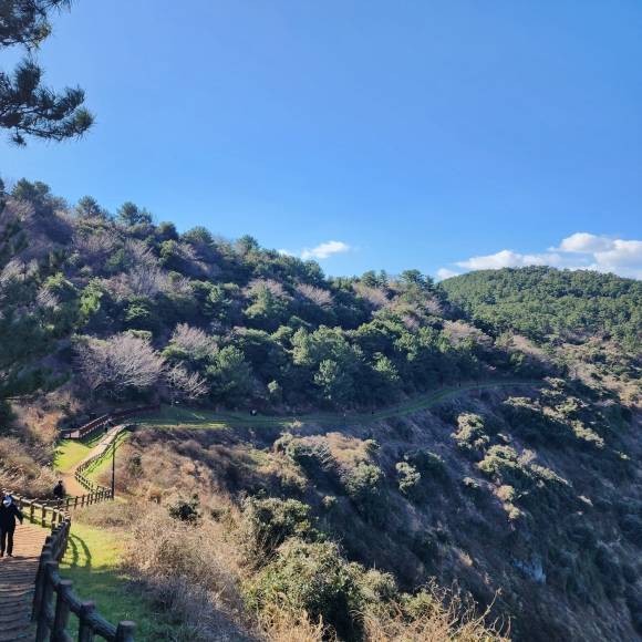 제주 올레길 18코스.