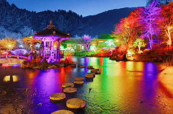 온라인 커뮤니티