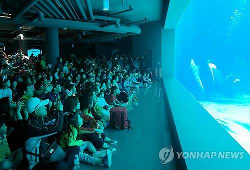거제 씨월드 공연 모습 [연합뉴스 자료사진]