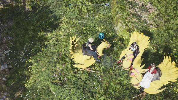- 초코보 유물 탐색이 가능한 경우 초코보 위에 물음표가 뜬다