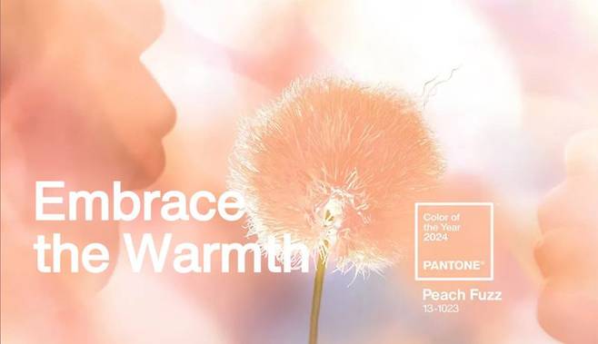 미국의 색채 연구소 팬톤이 2024년 올해의 컬러로 선정한 ‘피치 퍼즈(Peach Fuzz, PANTONE 13-1023)’. 크린랲 제공