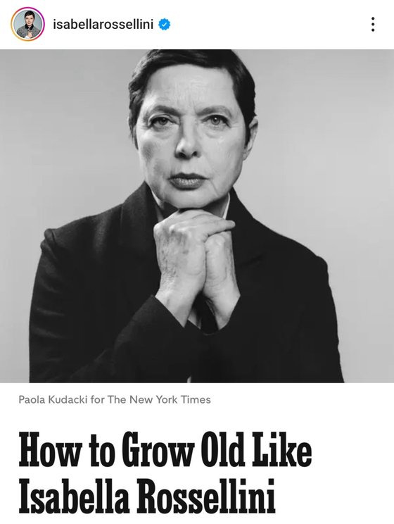 뉴욕타임스(NYT) 인터뷰 기사. 출처 및 저작권 Isabella Rossellini instagram