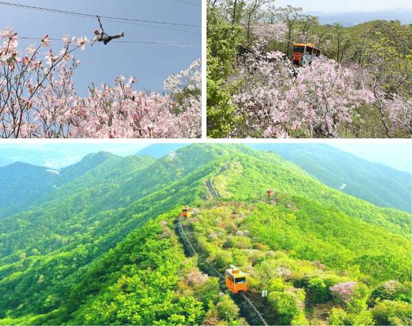 함양 가볼만한 곳 / 온라인 커뮤니티