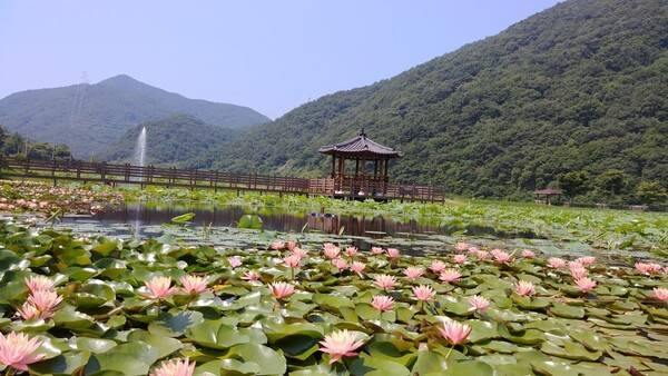 고성 가볼만한 곳 BEST 5 / 온라인 커뮤니티
