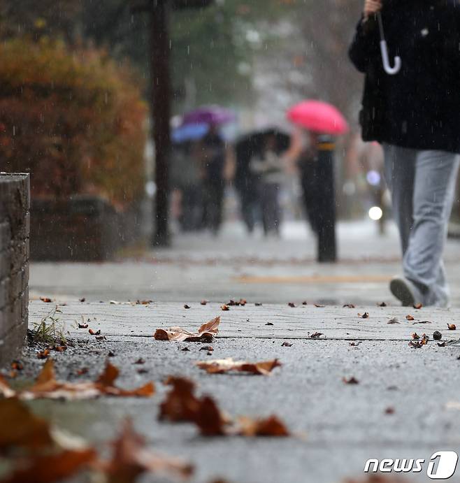 겨울비가 내린 전북 전주시 전북대학교에서 우산을 쓴 시민들이 발걸음을 옮기고 있다. 2023.12.11/뉴스1 ⓒ News1 유경석 기자