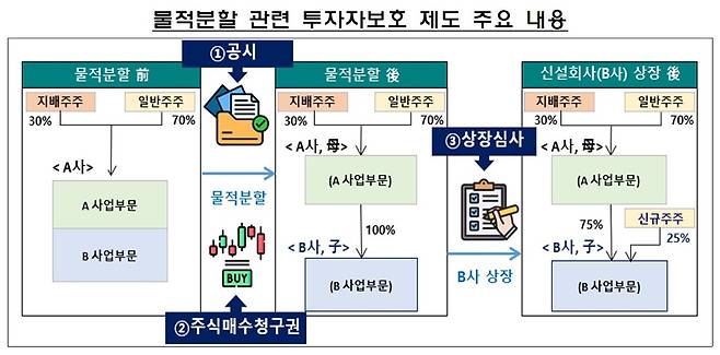 물적분할 관련 투자자 보호 제도