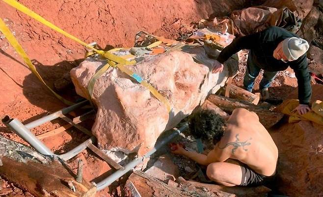 2년 전 자신의 반려견과 산책하던 중 공룡 화석을 발견한 데미안 보셰토(25)의 사연이 전해졌다. 사진은 보셰토가 발견한 티타노사우르스 화석 발굴 현장. [이미지출처=데미안 보셰토 인스타그램 캡처]