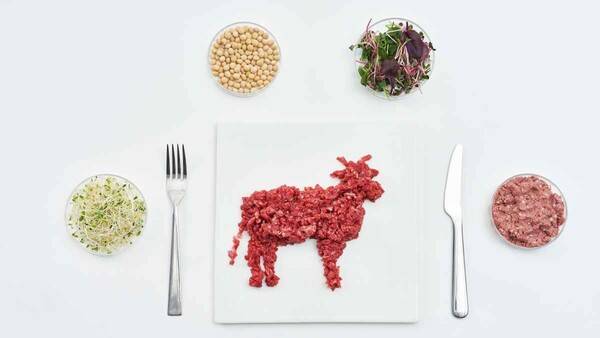 식물성 대체육과 배양육이 시장 확장을 위해선 맛과 가격을 잡는 게 관건이 될 전망이다. 다만 기술 성숙도가 비교적 낮은 배양육의 경우 경제성과 안전성, 배양 과정에서 발생하는 윤리적 부담도 해결해야 할 과제다. (사진=게티이미지)