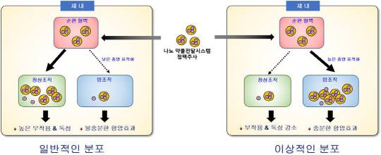 김대덕 서울대 약대 교수가 개발한 초소형 나노 약물전달시스템 개념도