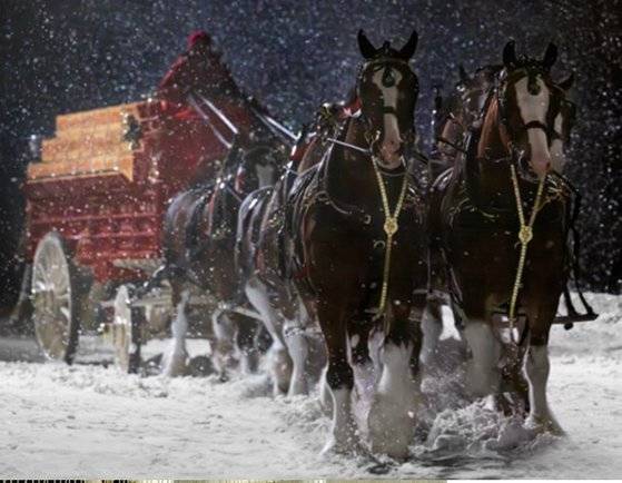 올해 같은 회사의 수퍼보울 광고 ‘올드 스쿨 딜리버리’. [사진 버드와이저]