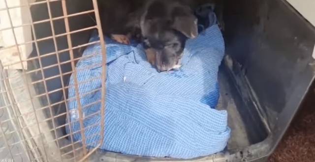 유튜브 채널 ‘그남자의 멍한여행’