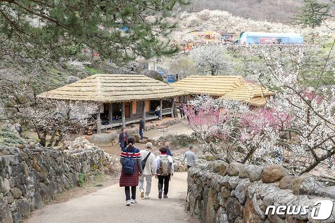 8일 오후 2시, 제23회 광양매화축제가 매화문화관 앞 주무대에서 화려한 개막식과 함께 열흘간의 대장정에 올랐다(광양시 제공)2024.3.8/