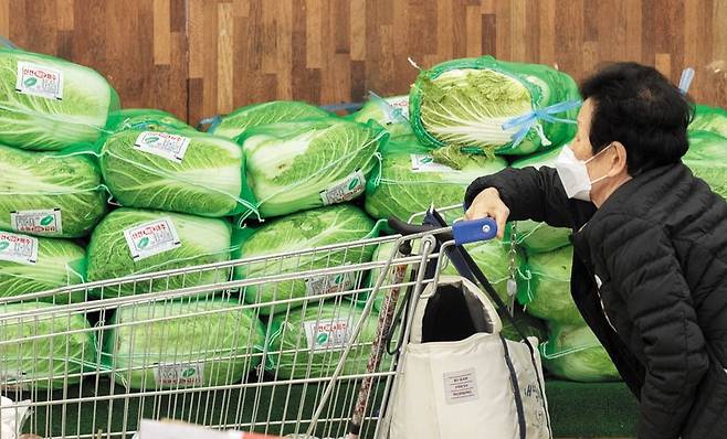 7일 서울 양재동 하나로마트에서 한 고객이 쇼핑 카트를 밀며 배추 진열대를 지나고 있다. 지난 2월 기준 채소 가격이 2년 전과 비교해 21% 오르는 등 밥상 물가가 치솟고 있는데 소득은 제자리걸음을 걸으면서 살림살이가 팍팍해졌다는 말이 나오고 있다. /박상훈 기자