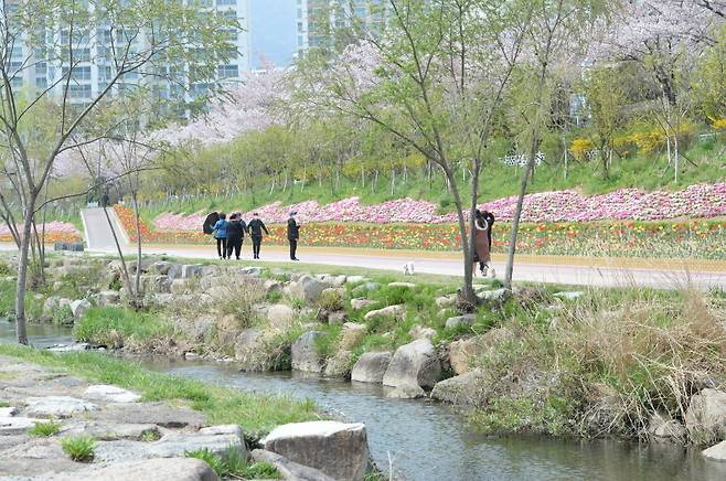 부산 기장군 좌광천 / 사진 = 기장군 제공