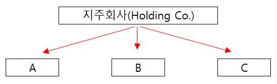 지주회사 구조