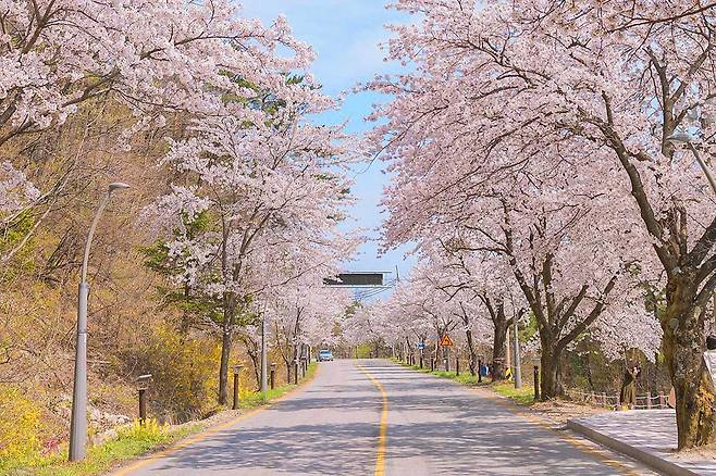 설악산 풍경