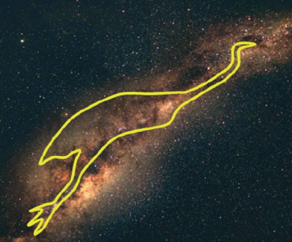 하늘의 에뮤. Barnaby Norris 제공&nbsp;