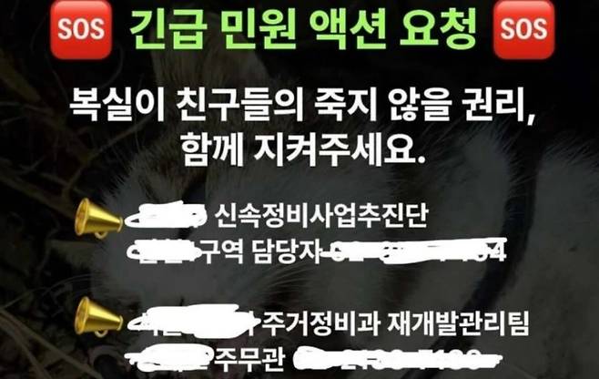 한 동물보호단체가 SNS에 '좌표 찍기'를 한 글