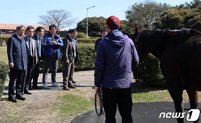 정기환 한국마사회장이  신규 씨수말 '클래식 엠파이어'를 살피고 있다.(한국마사회 제공)