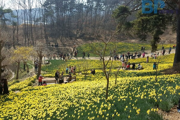 출처: 서산유기방가옥 (충청도 3월 봄꽃 여행지)