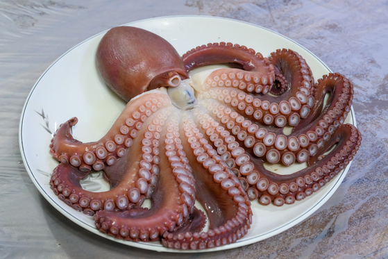 Steamed octopus at Wangdolhoe Restaurant in Uljin [YIM SEUNG-HYE]