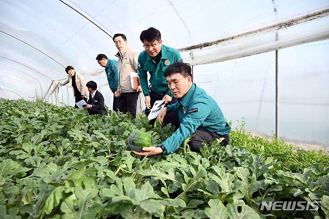 [창원=뉴시스]경남도의회 농해양수산위원회 서민호 의원 등이 11일 창원시 의창구 대산면 수박 피해농가를 방문해 피해 상황을 점검하고 있다.(사진=경남도의회 제공) 2024.03.11.  photo@newsis.com