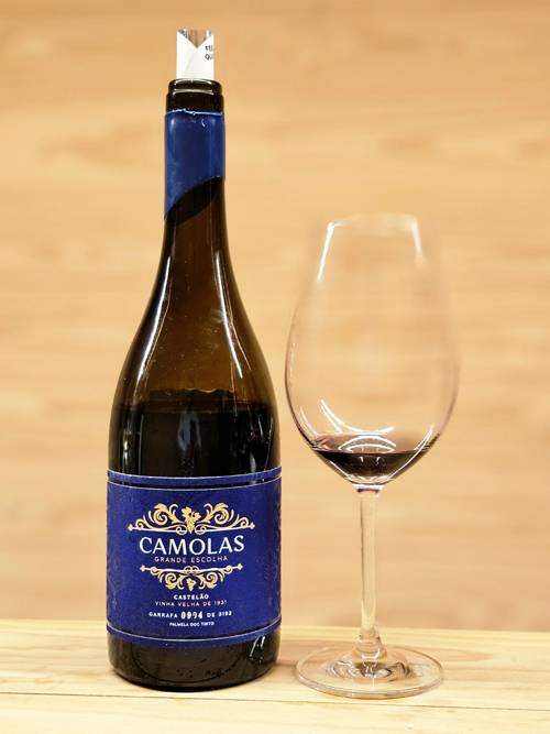 카스텔레웅 품종 카몰라스 그랑데 에스콜라.