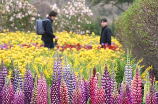 온라인 커뮤니티