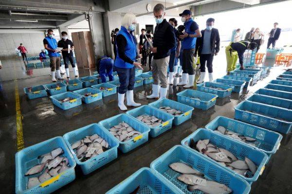 [이미지출처=연합뉴스]