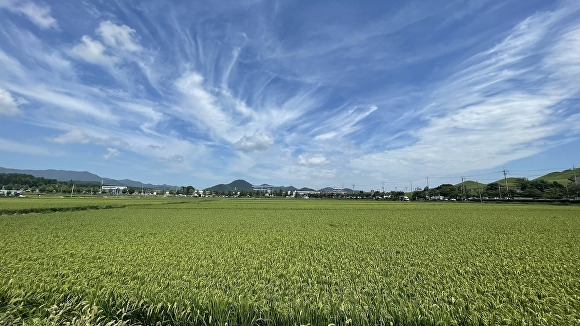 경상남도 고성군 기월단지 여름 전경. [사진=경상남도 고성군]